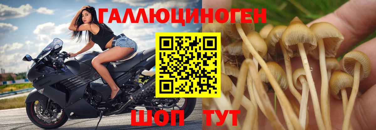 Галлюциногенные грибы мицелий  Вход с VPN  Нижний Новгород 