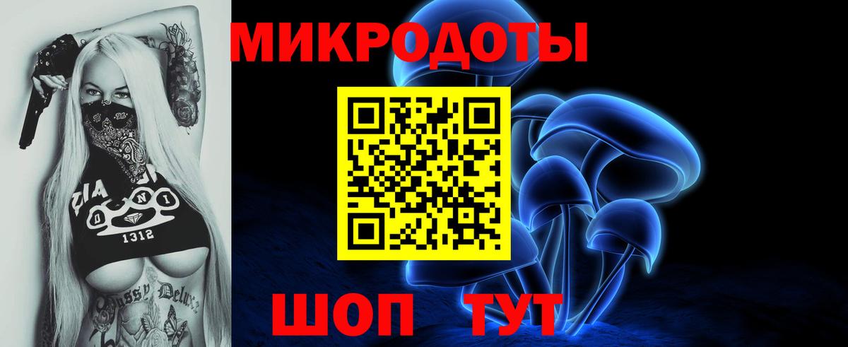 Галлюциногенные грибы Psilocybe Нижний Новгород